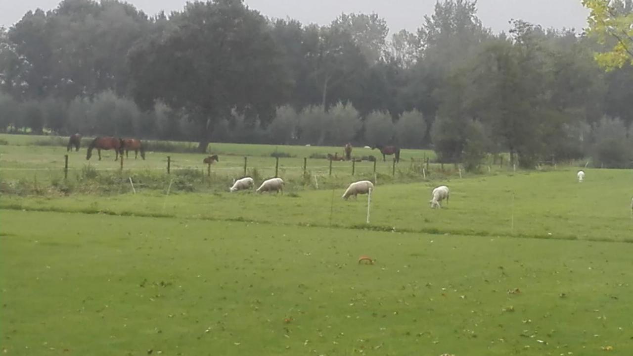 De Weije Wereld Bed and Breakfast Sint-Oedenrode Eksteriør billede