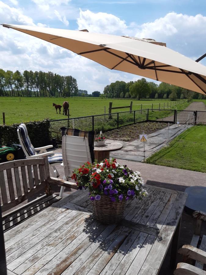 De Weije Wereld Bed and Breakfast Sint-Oedenrode Eksteriør billede