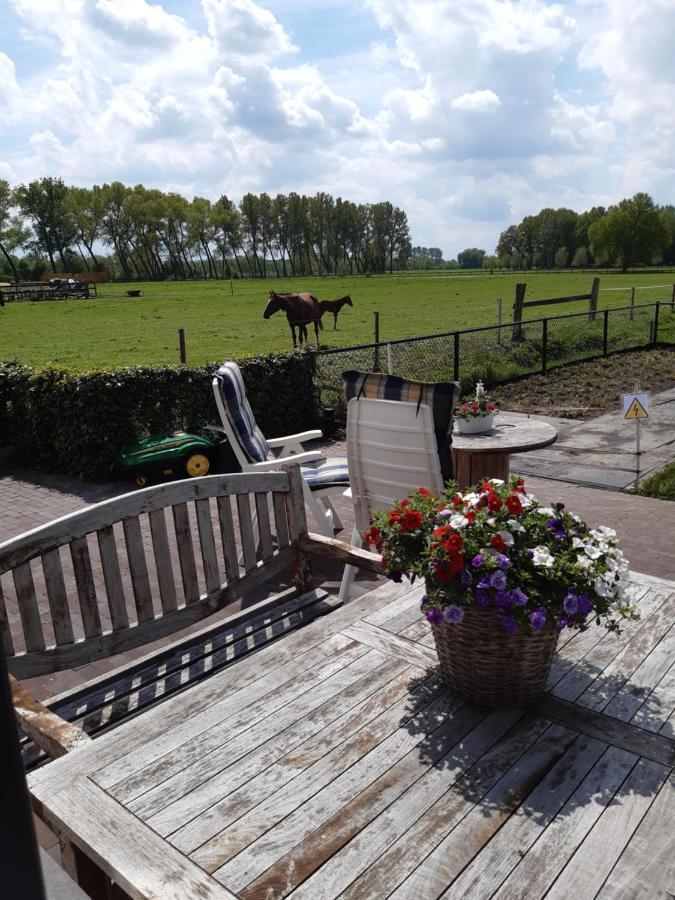De Weije Wereld Bed and Breakfast Sint-Oedenrode Eksteriør billede